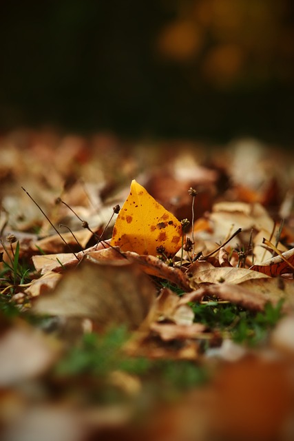 判若两队，武汉三镇前14轮5胜3平6负，后16轮1胜4平11负