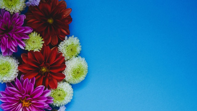 戴格诺特谈SGA三分表现：他付出了大量时间，这要历经多年打磨